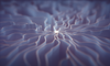 A depiction of a autonomic nervous system