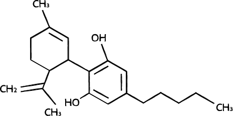 A diagram depicting the molecular structure using the method of molecular modeling.